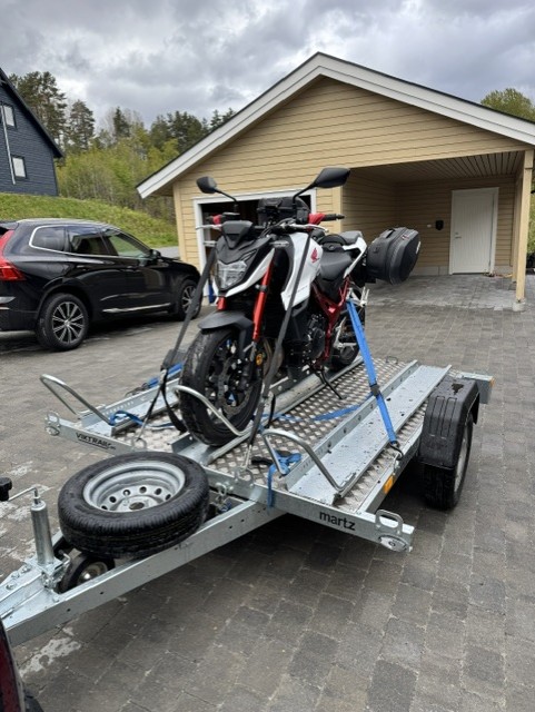Martz Moto 3 GP- Honda Hornet